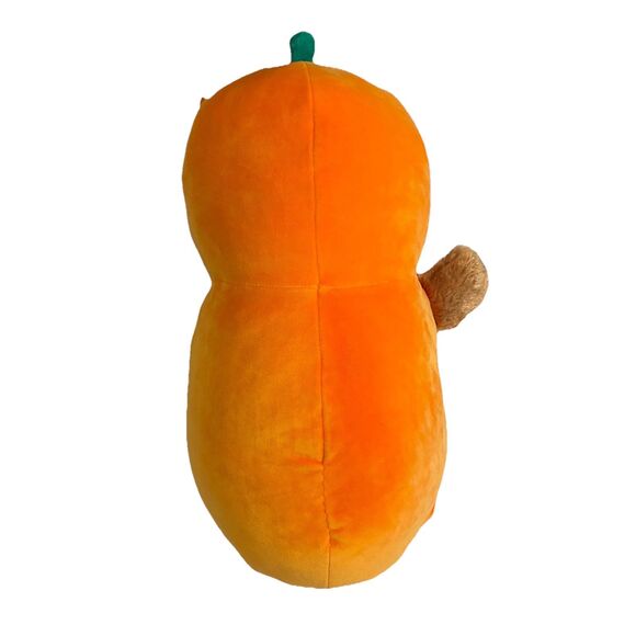 Squishmallows HugMees Avery Mallard Duck Pumpkin Costume plush toy.  16 Inch - Picture 4 of 7